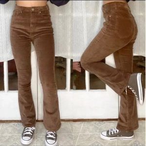 Brown Corduroy Pants